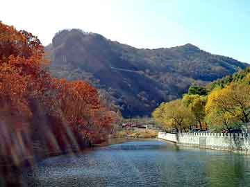 大三巴一肖二码最准，蓝山网站建设